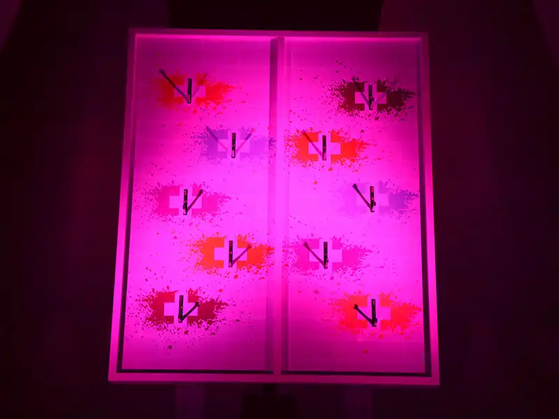 Swiss Rings | Deluxe Spiele Events4Rent